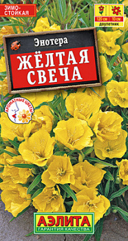 Энотера Желтая свеча_ЦП