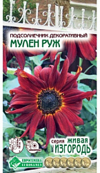 Подсолнечник Мулен Руж