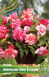 Begonia Cascade Balcony - Pink Balcony
