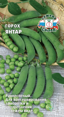 gorokh_yantar