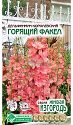 Дельфиниум Горящий Факел