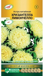 Астра Хризантелла Лимончелло
