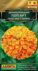 Цинния Поп арт голд ред страйпс