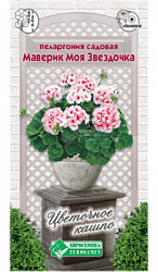 Пеларгония МАВЕРИК МОЯ ЗВЕЗДОЧКА