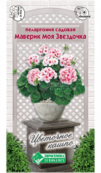 Пеларгония МАВЕРИК МОЯ ЗВЕЗДОЧКА