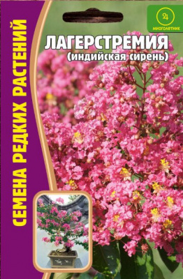 Лагерстремия