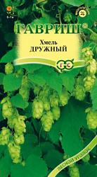 Хмель