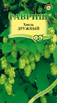 Хмель