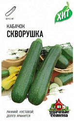 Кабачок Скворушка