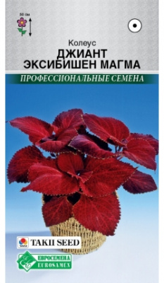 Колуес Магма