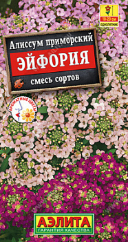 Алиссум Эйфория