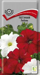 petunia_lubov