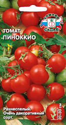 tomat_pinokkio