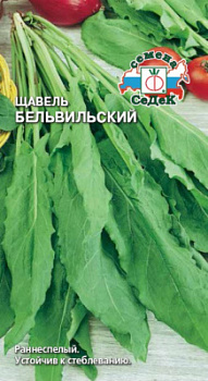 shchavel_belvilskiy