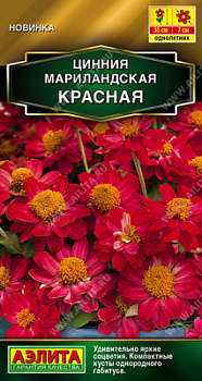 Цинния мариландская Красная
