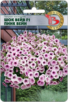 Пинк Вейн