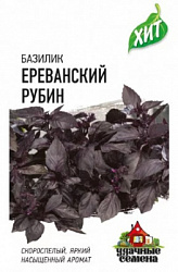 Базилик Ереванский Рубин