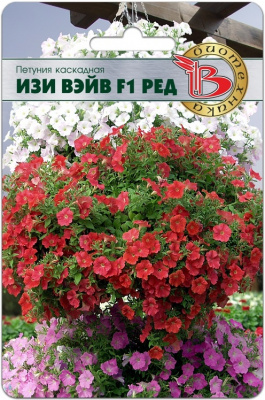 Изи вэйв