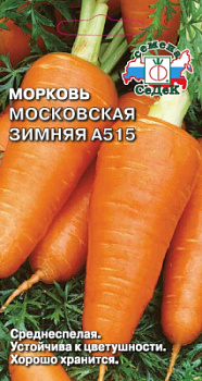 morkov_moskovskaya_zimnyaya_a_515