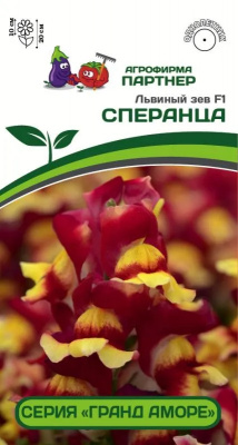 Львиный зев сперанца