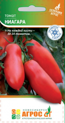 томат ниагара