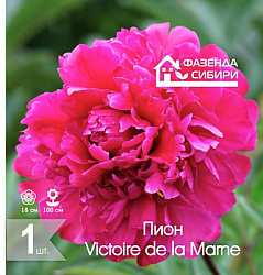 сПион Victoire de la Marne