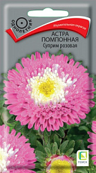 astra_pomponnaya_suprim_rozovaya