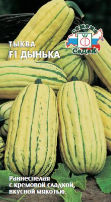 tykva_dynka_f1