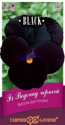 Виола черн