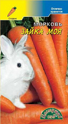 Зайка