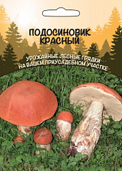podosinovik-krasnyy
