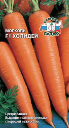morkov_kholidey_f1