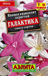 Ипомея Квамоклит Галактика Лидер