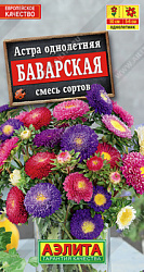 Астра Баварская