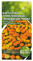 Бархатцы триплоидные Endurance  mix