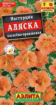 Настурция Аляска лососев оранж