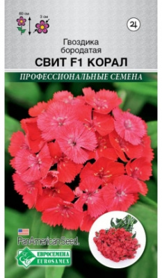 Гвоздика Свит Корал