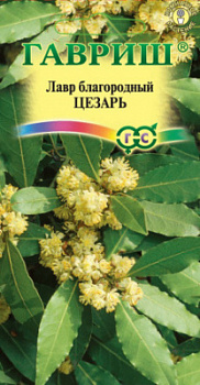 Лавр