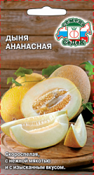 dynya_ananasnaya