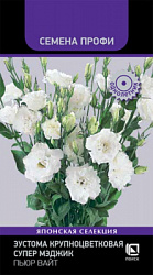 eustoma_krupnotsvetkovaya_super_medzhik_pyur_vayt