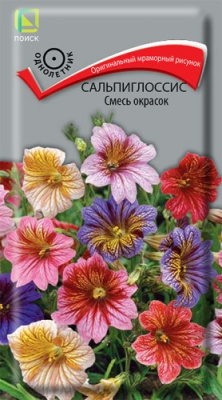 salpiglossis_smes_okrasok