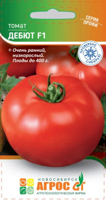 томат дебют