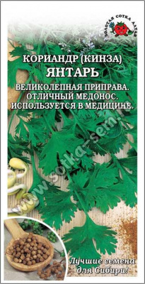 Кориандр Янтарь