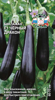 baklazhan_chernyy_drakon_f1