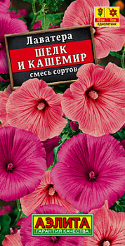 Лаватера Шелк и кашемир, смесь сортов_ЦП