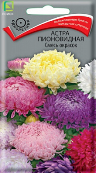 astra_pion_smes_okrasok