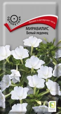 mirabilis_bely_ledenec
