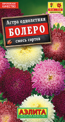 Астра Болеро, смесь сортов_ЦП