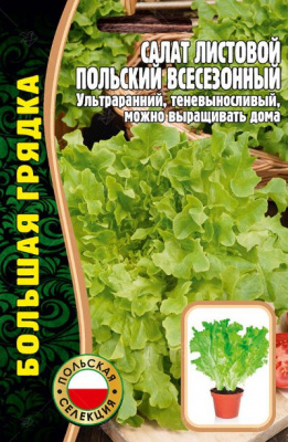 Салат польский
