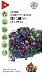 Лобелия Серпантин